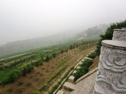 人交❌CZ00与女性XX㊙️X